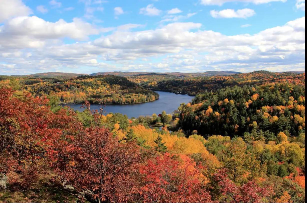 Nature Eco Suite In Wakefield Quebec ภายนอก รูปภาพ